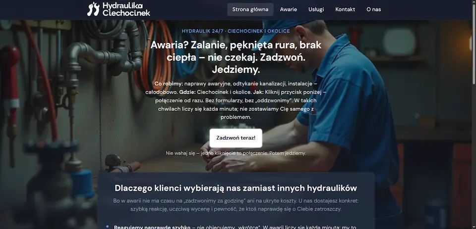 BNK Car rental – widok 1